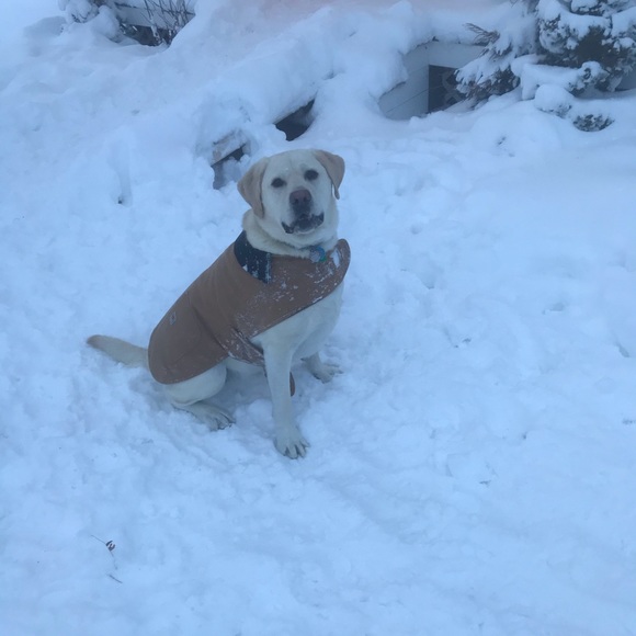 Meet your Posher, Danny - Picture 4 of 7